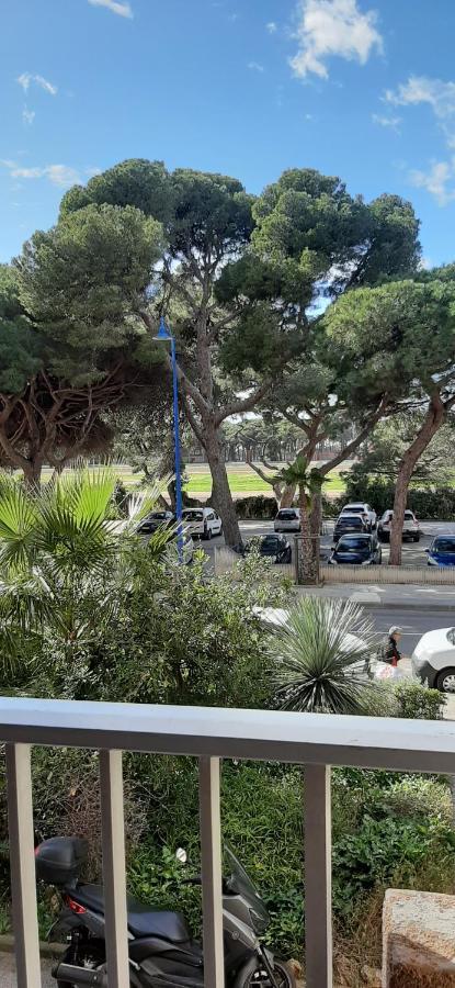Les Iles D'Or Au Port De Hyeres Grand Studio Climatise Zewnętrze zdjęcie