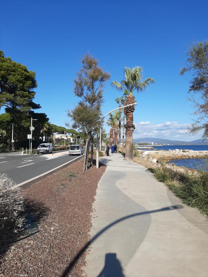Les Iles D'Or Au Port De Hyeres Grand Studio Climatise Zewnętrze zdjęcie